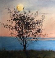 Leon County Tree Moonlit