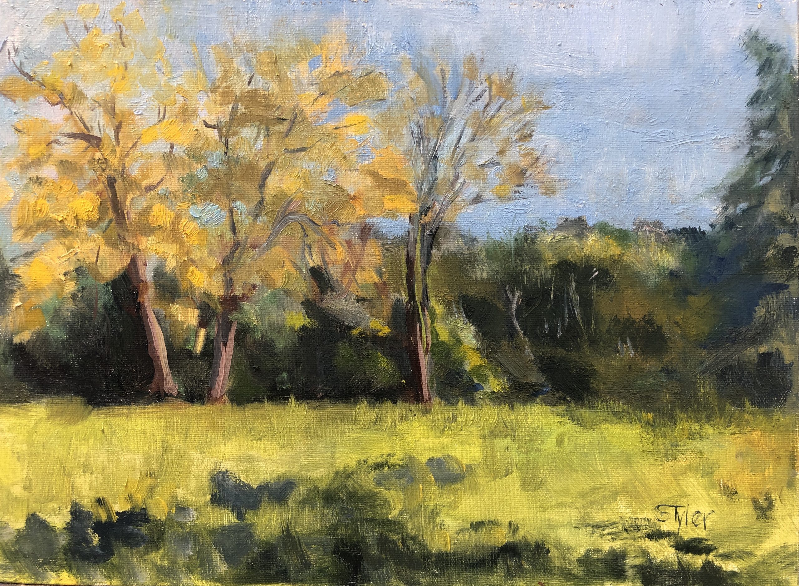 Elms on the Ridge, 12 x 9, oil, painted on location
Centerville, Texas